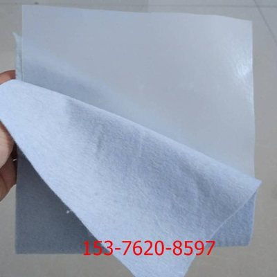 大安復(fù)合土工布 實業(yè)集團 致力于土工布行業(yè)的創(chuàng)新與卓越